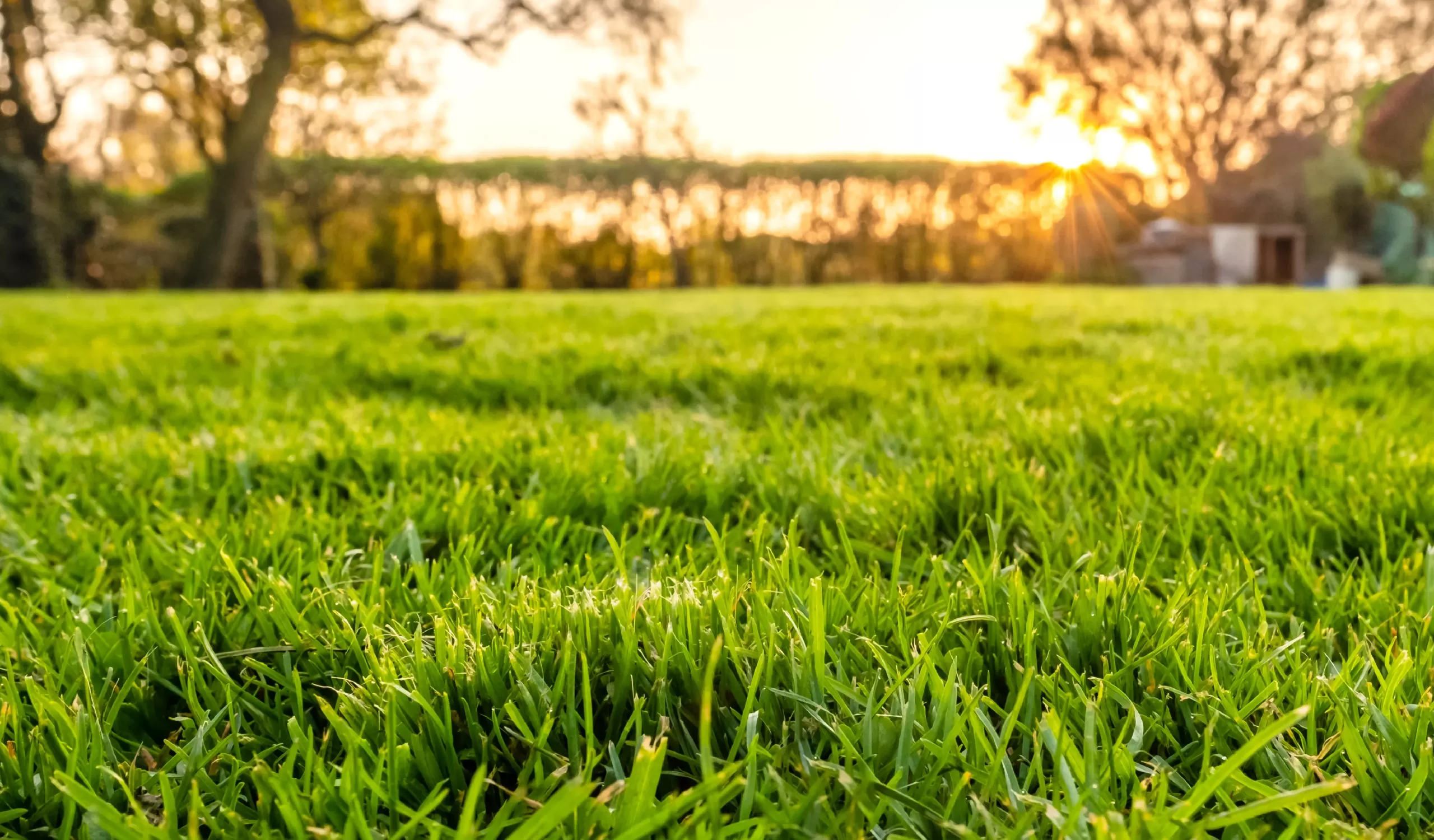 A view of a luscious green lawn with the sun shining and septic tanks in the background